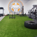 Rasenteppich, Fitnessstudio, Kunstrasen, Fitness, Funktional Training, Crossfit, Gewichtsschlitten, Laufbahn, Kraftsport