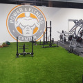 Rasenteppich, Fitnessstudio, Kunstrasen, Fitness, Funktional Training, Crossfit, Gewichtsschlitten, Laufbahn, Kraftsport
