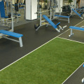 Rasenteppich, Fitnessstudio, Kunstrasen, Fitness, Funktional Training, Crossfit, Gewichtsschlitten, Laufbahn, Kraftsport