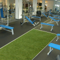 Rasenteppich, Fitnessstudio, Kunstrasen, Fitness, Funktional Training, Crossfit, Gewichtsschlitten, Laufbahn, Kraftsport